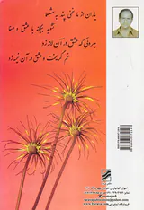 خلوت دل